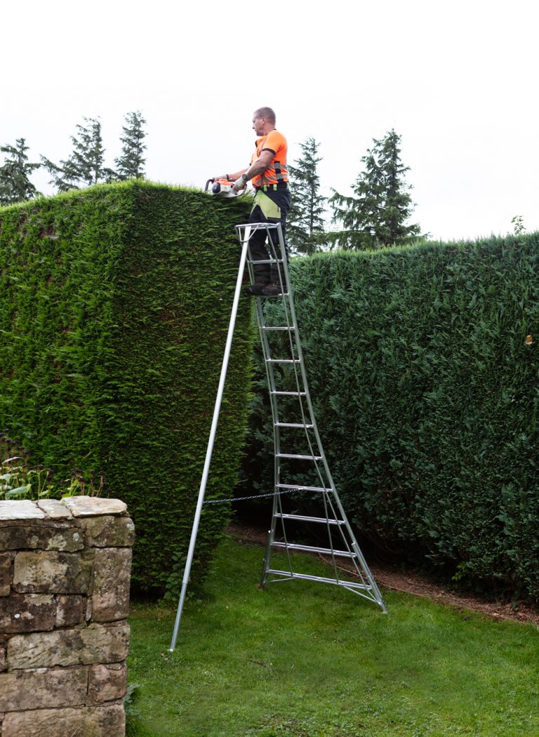 Orchard Tripod Ladder - Three Leg Adjustable