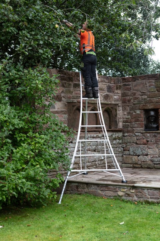 Orchard Ladders - 3 Leg Adjustable Garden Tripod Ladders