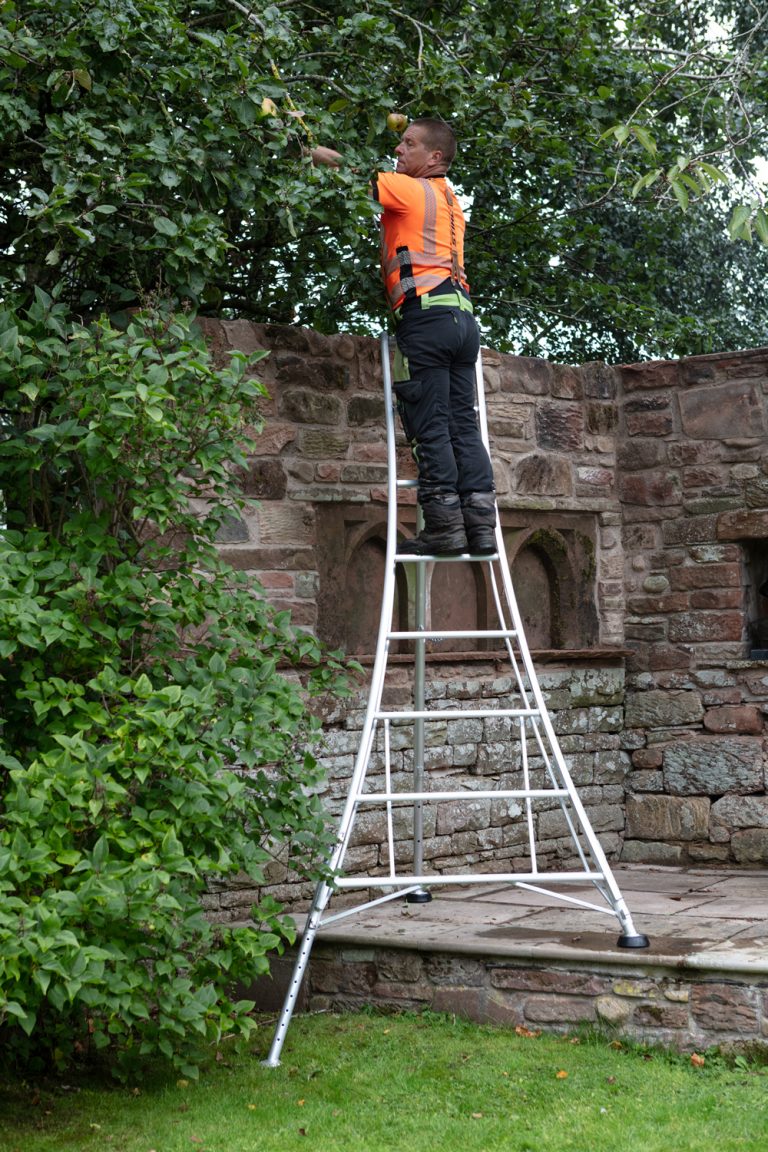 Orchard Ladders - 3 leg adjustable Garden tripod ladders