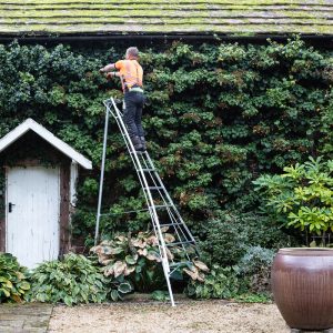 Orchard Ladders - 3 leg adjustable Garden tripod ladders