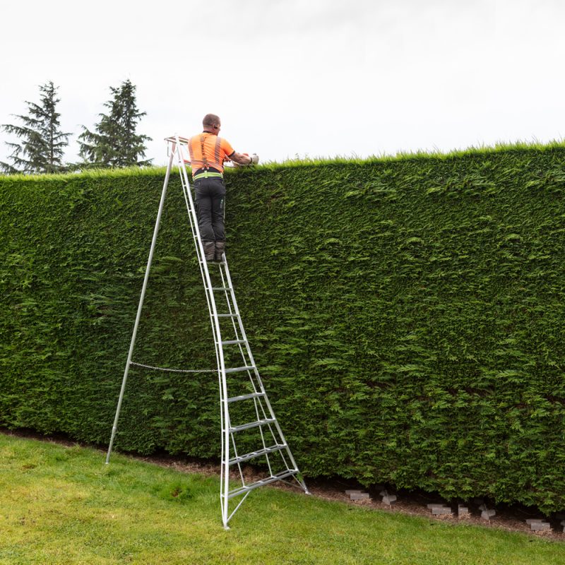 3 legged Ladders - Orchard tripod garden ladders