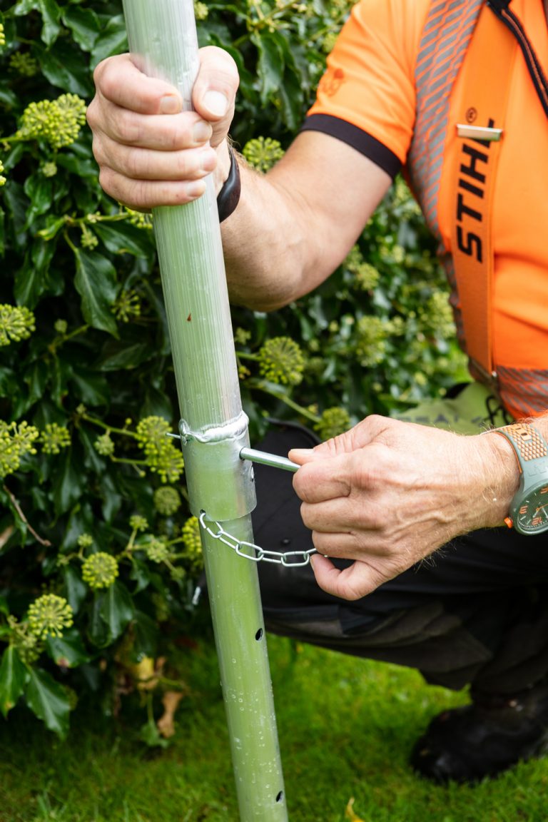 MASTERING PRUNING TECHNIQUES WITH TRIPOD LADDERS visual data 6