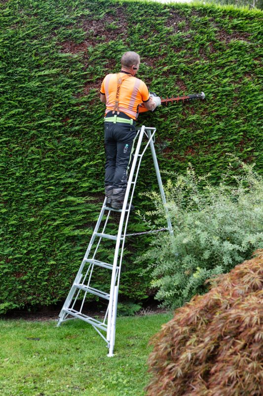 Orchard Tripod Ladder - Three Leg Adjustable